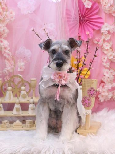 20250316小鉄くん